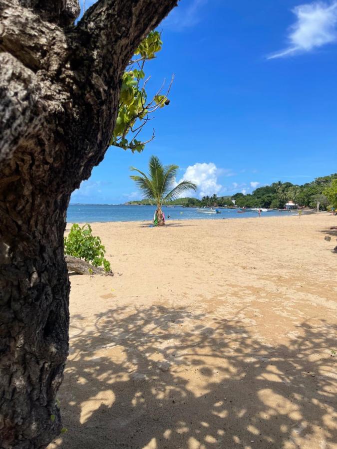 Appartement Vue Mer A 2 Minutes A Pied Des Plages Tartane La Trinite Luaran gambar