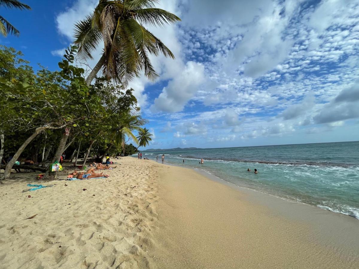 Appartement Vue Mer A 2 Minutes A Pied Des Plages Tartane La Trinite Luaran gambar