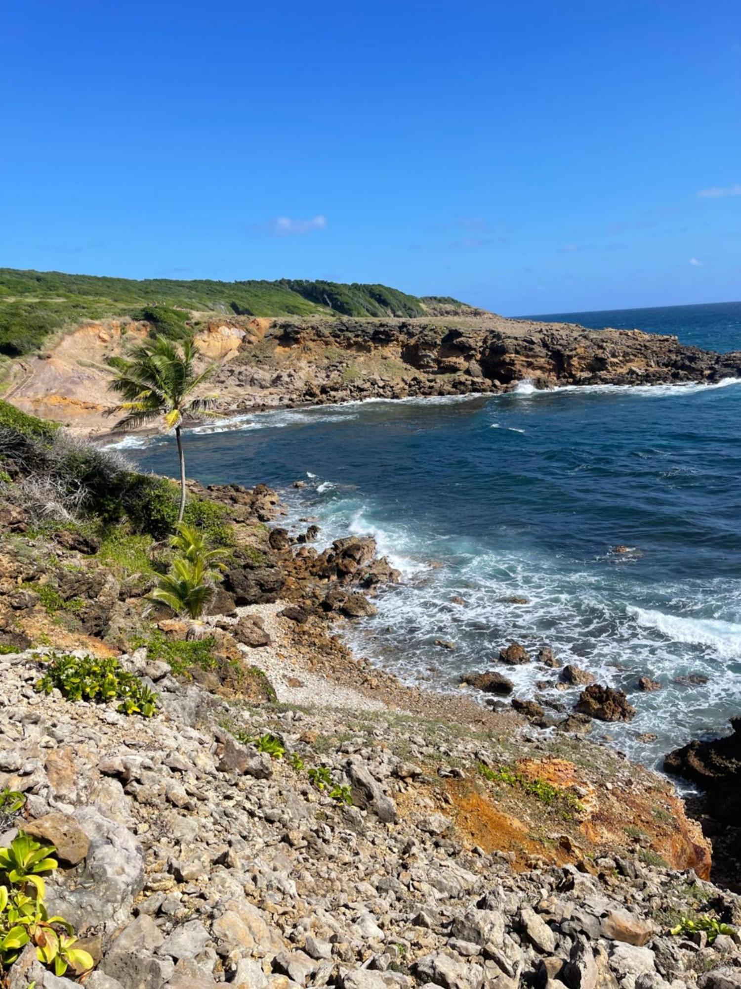 Appartement Vue Mer A 2 Minutes A Pied Des Plages Tartane La Trinite Luaran gambar